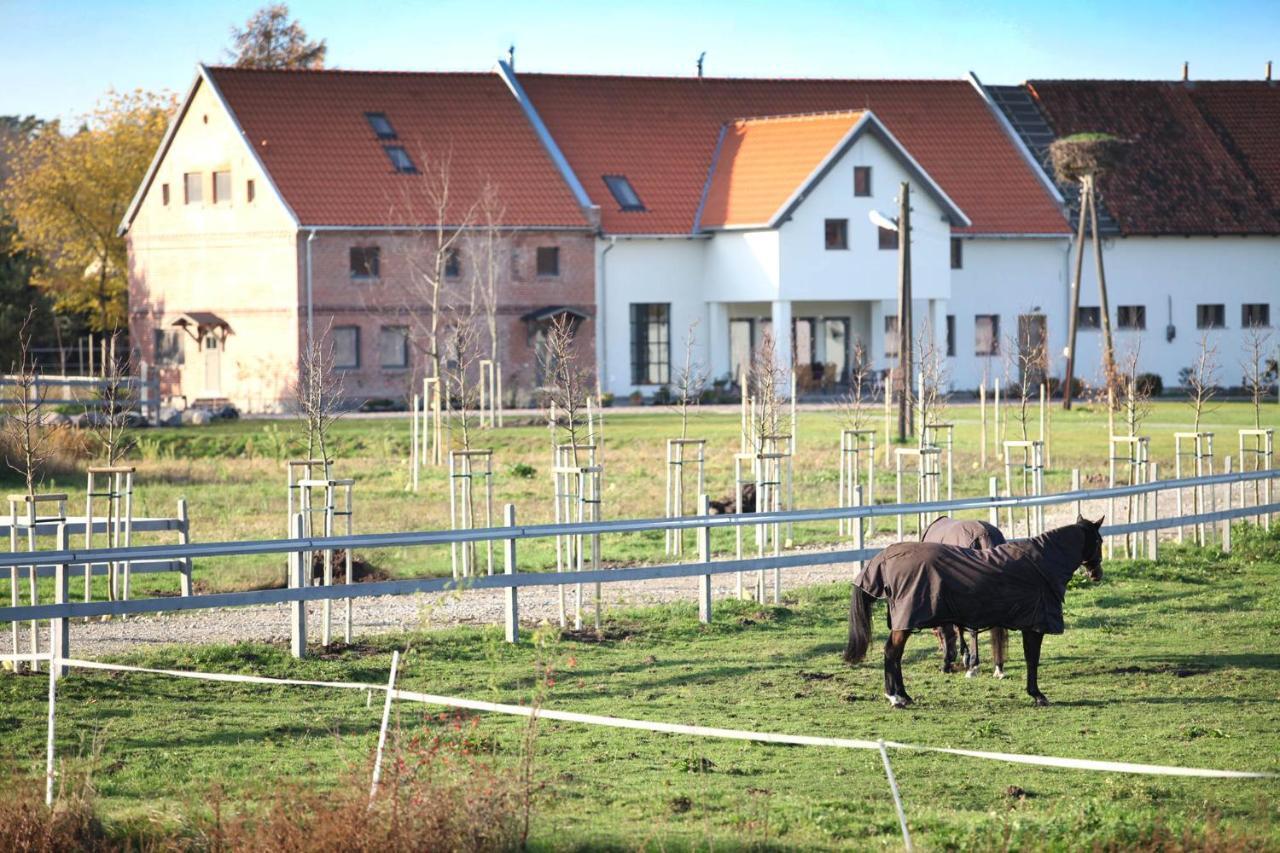 Stajnia Lipnik Apartments Kadyny Exteriér fotografie