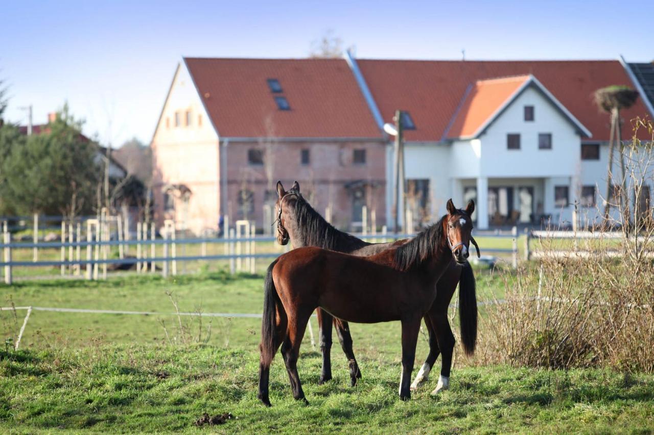 Stajnia Lipnik Apartments Kadyny Exteriér fotografie