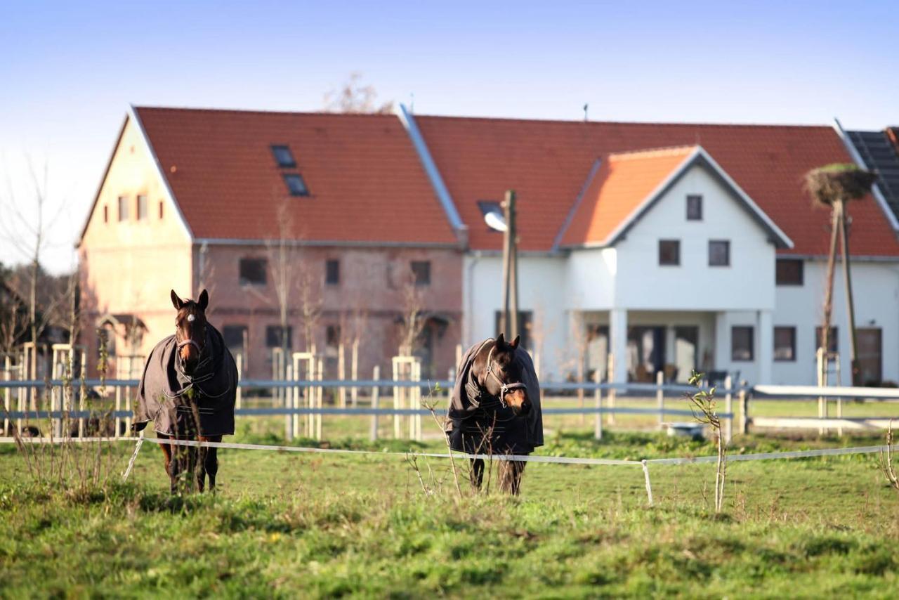 Stajnia Lipnik Apartments Kadyny Exteriér fotografie